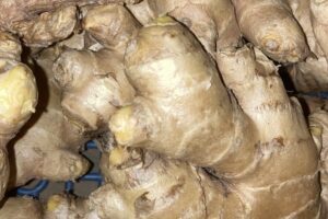 Ginger root (Peru) - 100g