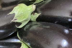 Aubergine (UK!!)