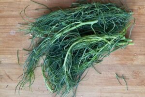 Salsola/Agretti (100g) Pingle