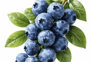 Blueberries -125g punnet (Spain)
