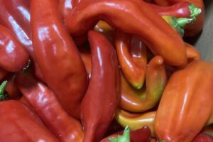 Palermo Pepper - 350g (Spain)