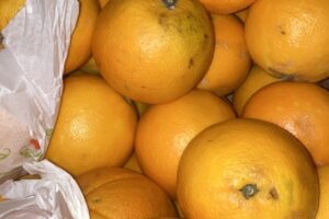 Orange - Latelane (Spain) 1Kg