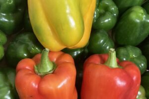 Bell Peppers mixed -(Spain) 500g
