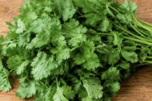 Coriander (bunch) - Pingle