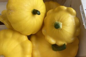 Yellow Patty Pan Squash 500g (Pingle)