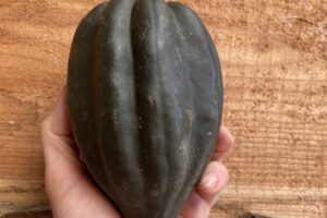 Pingle Autumn Squash - Acorn